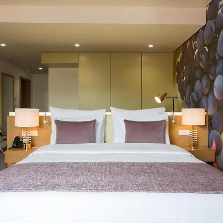 Douro Castelo Signature & Hotel