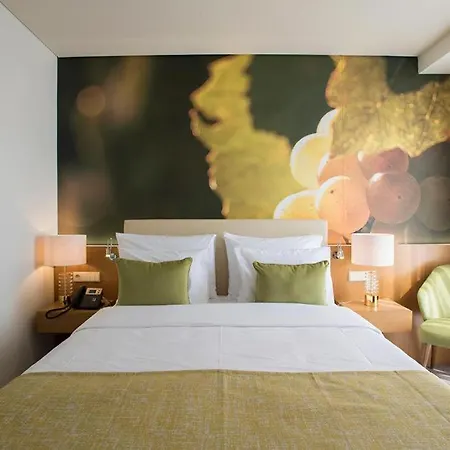Hotel Douro Castelo Signature &