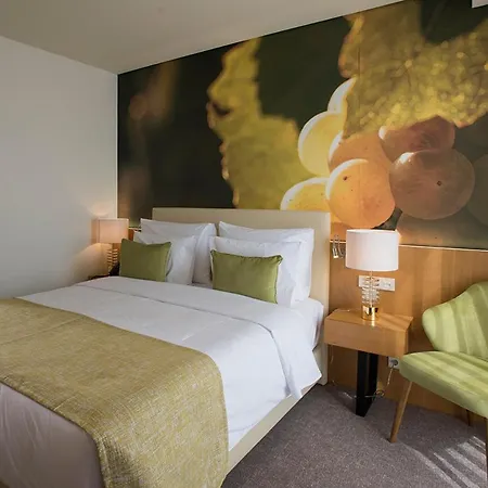 Hotel Douro Castelo Signature & Lamego