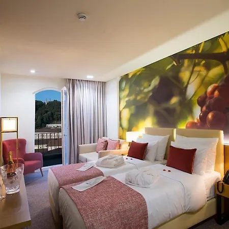Hotel Douro Castelo Signature & Lamego