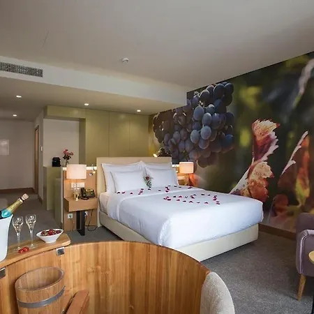 Douro Castelo Signature & Hotel