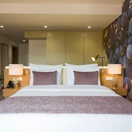 Hotell Douro Castelo Signature & 4*