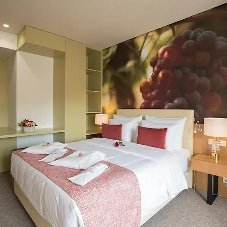 Hotel Douro Castelo Signature & 4*