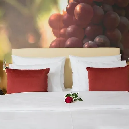 ホテル Douro Castelo Signature & 4*