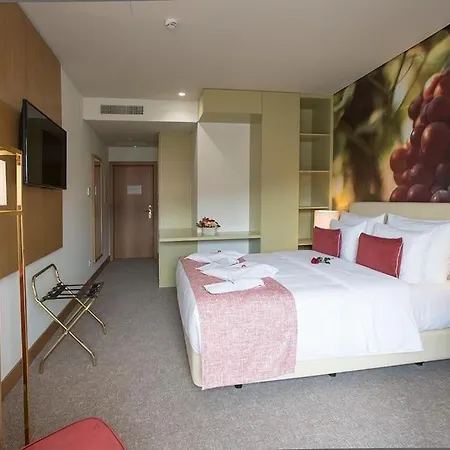 ホテル Douro Castelo Signature & 4*