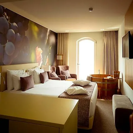 Douro Castelo Signature & Hotell Lamego