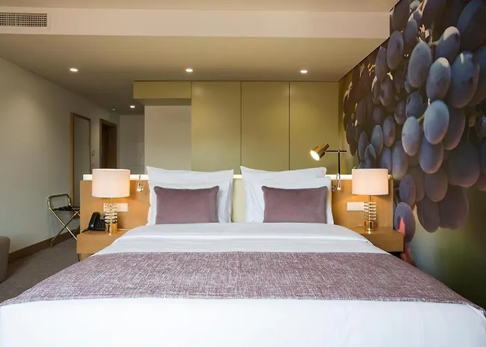 Douro Castelo Signature & Hotel