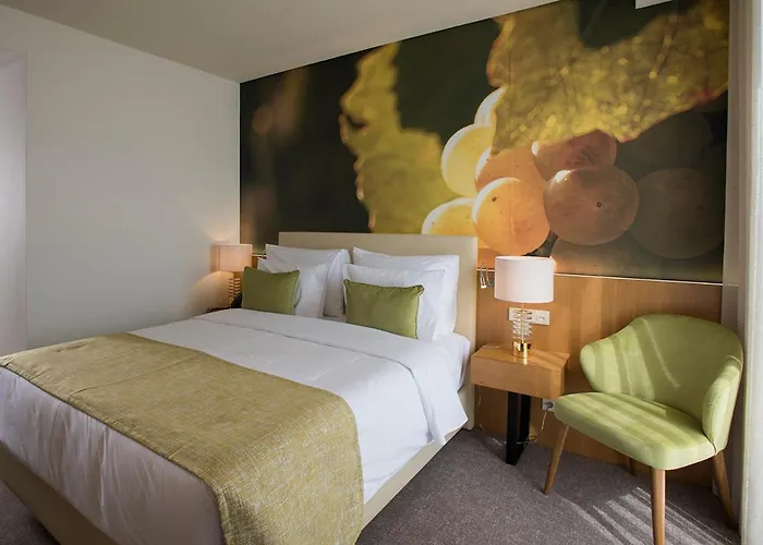 Hotel Douro Castelo Signature & Lamego