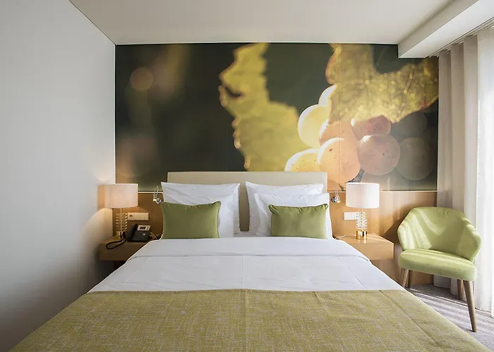 Hotell Douro Castelo Signature & 4*